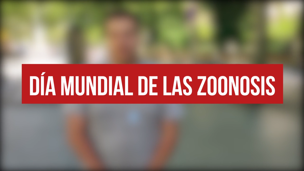 DiaMundialZoonosis
