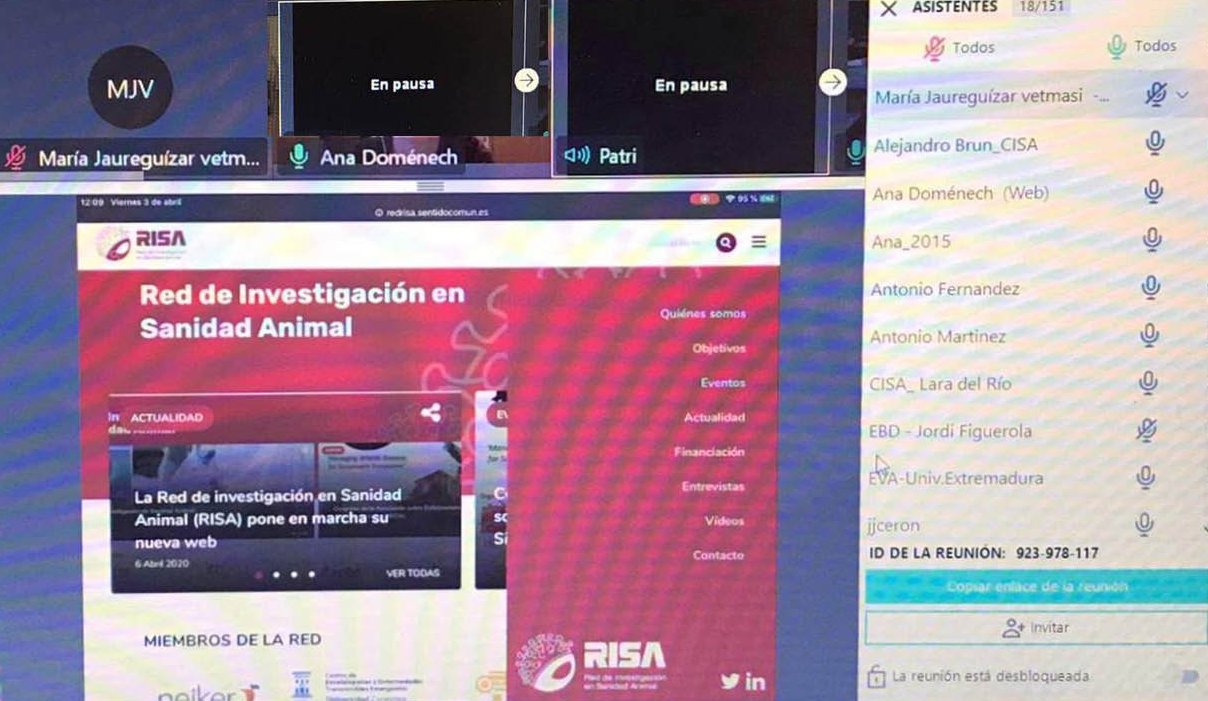 virus