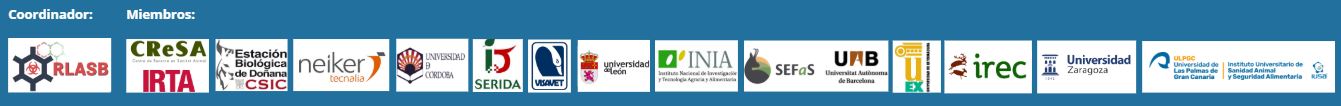 Coordinadores y miembros