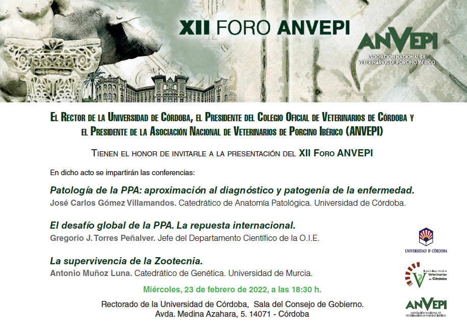 XIIForo