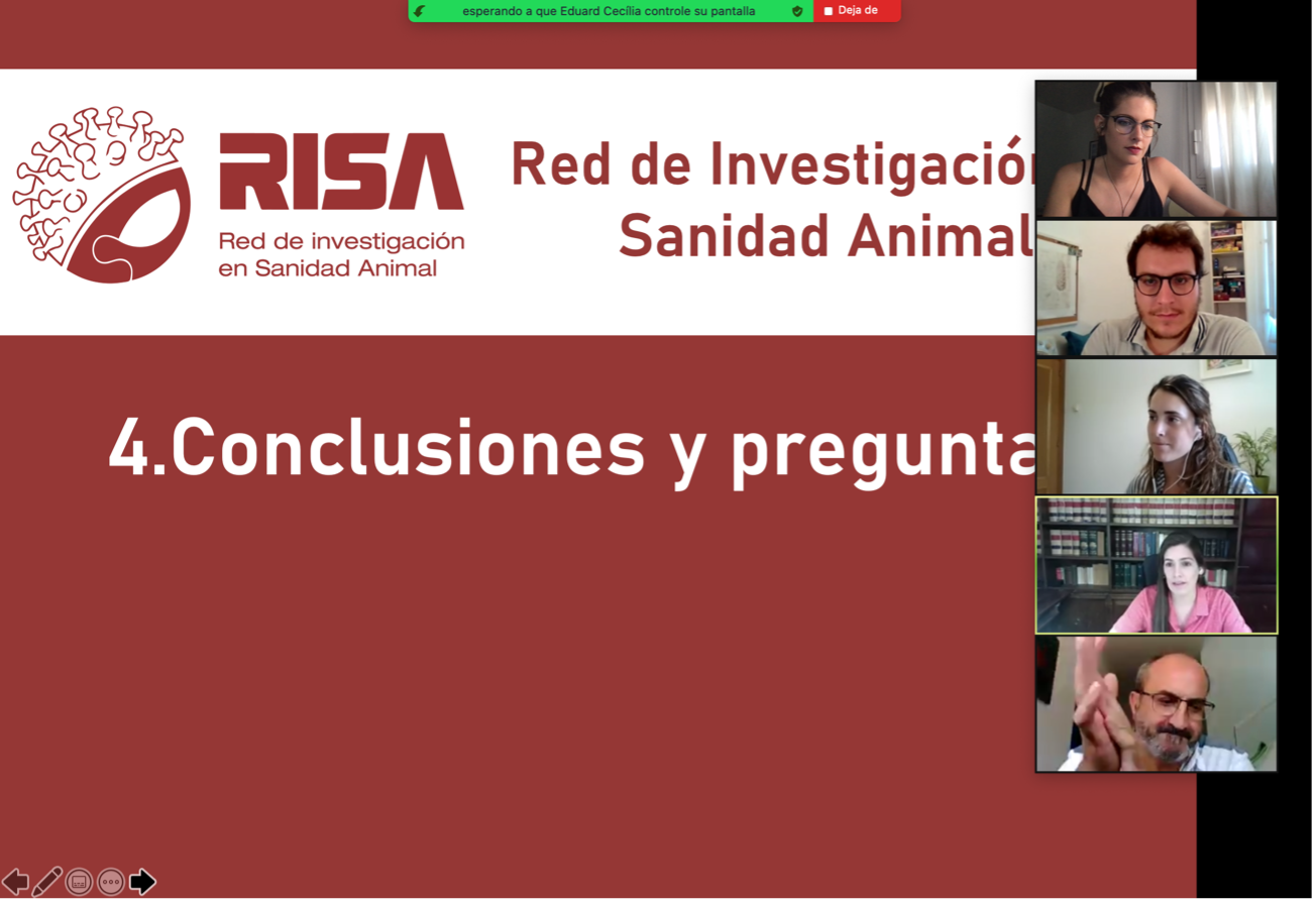Red RISA